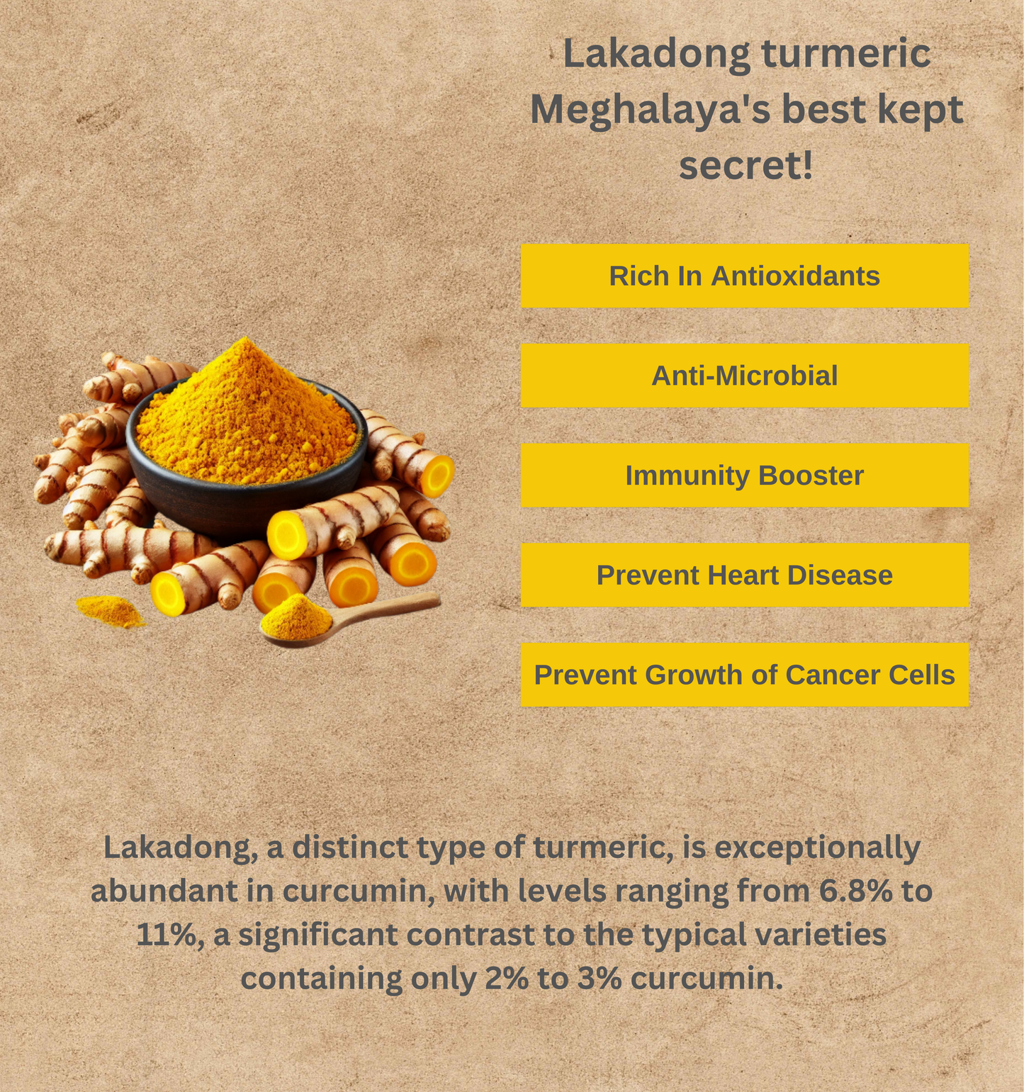 Rajapuri Turmeric Powder